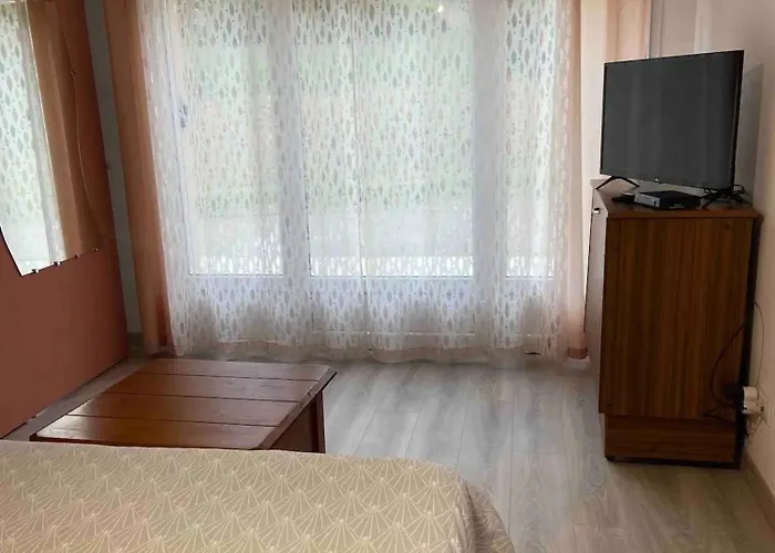 Apartment Appartement Renove A Lapte Avec Terrasse 40 M² 3*