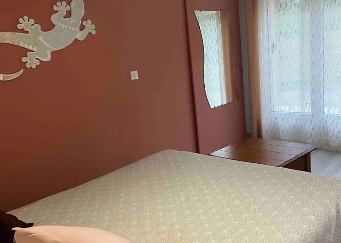 Appartement Renove A Lapte Avec Terrasse 40 M² Apartment Lapte