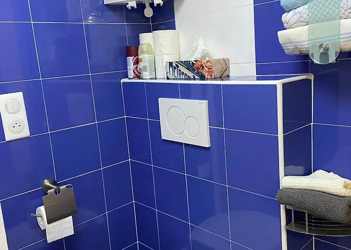 Appartement Renove A Lapte Avec Terrasse 40 M² Lapte