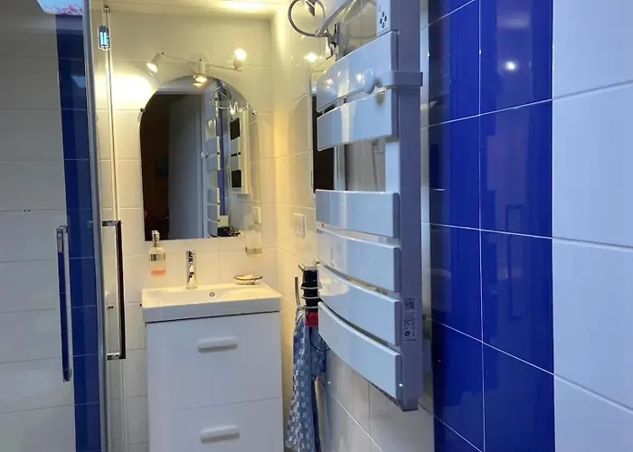 Apartment Appartement Renove A Lapte Avec Terrasse 40 M² 3*